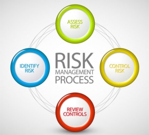 Operational and IT Risk Optimization
